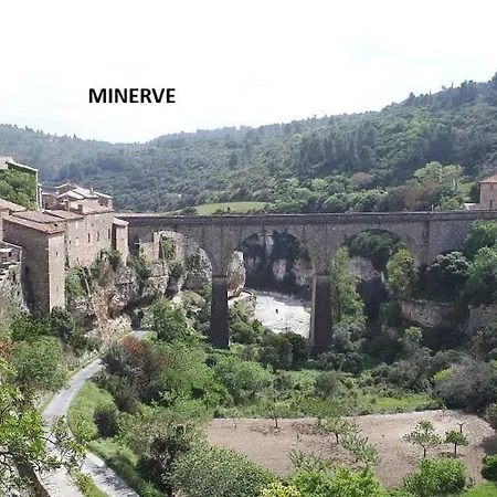 Villa Les Oliviers Millenaires